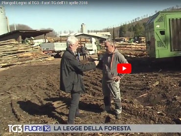 Piangoli Legno al Fuori TG del TG3