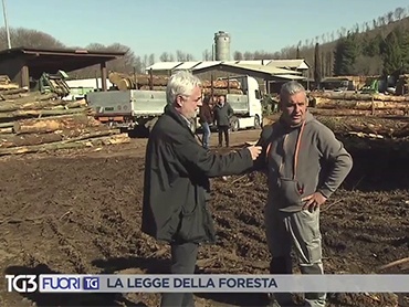 Piangoli Legno al TG3 - Fuori TG dell'11 aprile 2018