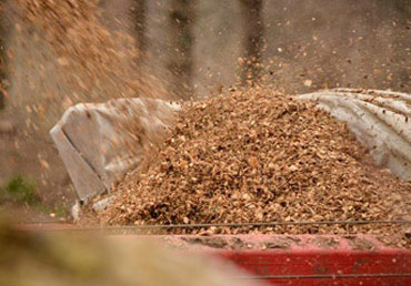 Produzione e vendita di cippato