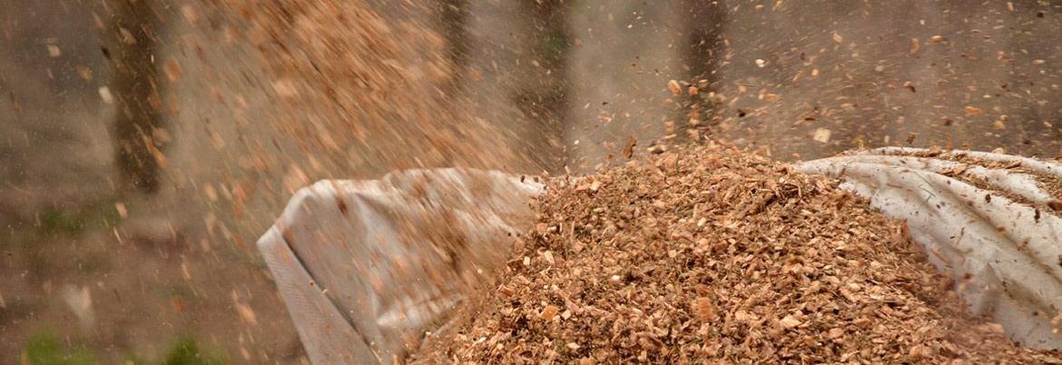 Produzione e vendita di cippato